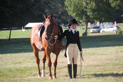 Small girl holding a horse in an open field