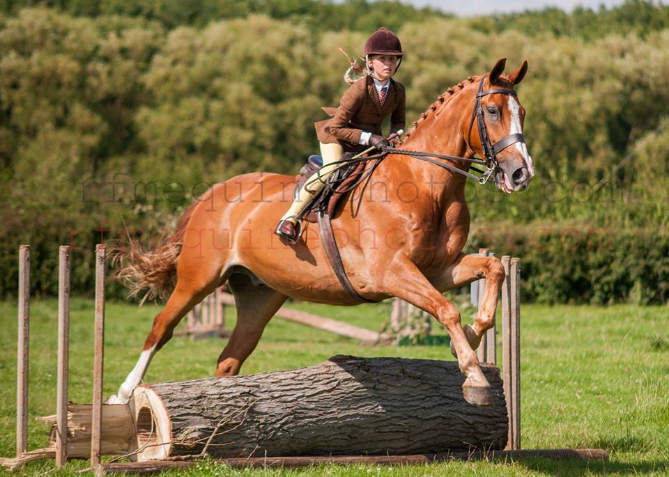 A small kid riding a horse above the woods