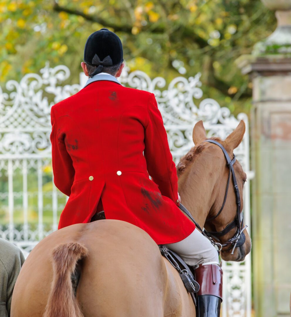 Back view of a small boy riding a horse