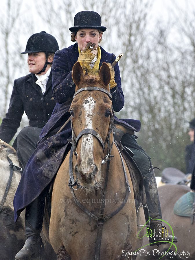 Two persons riding a horse in brown color