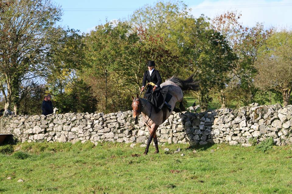 Horse jumping off from a wall made of stones