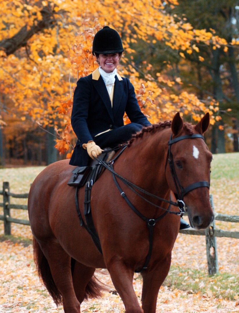 A lady riding a horse with fences in a field