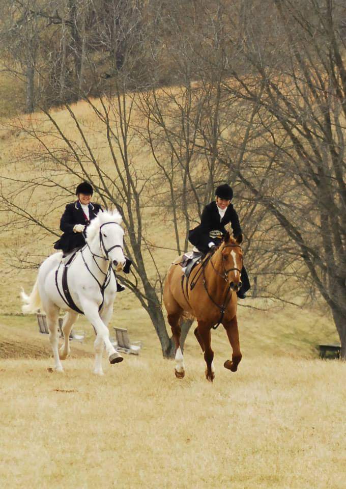 Lady running two horses in a field