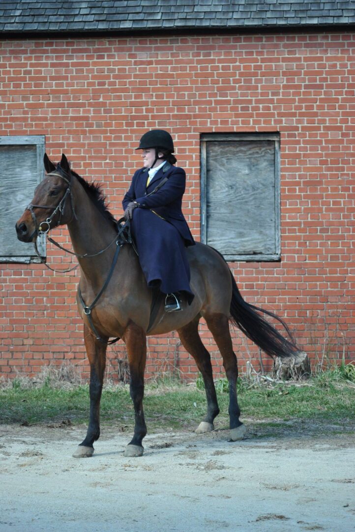 Lady wearing black dress sitting on a horse