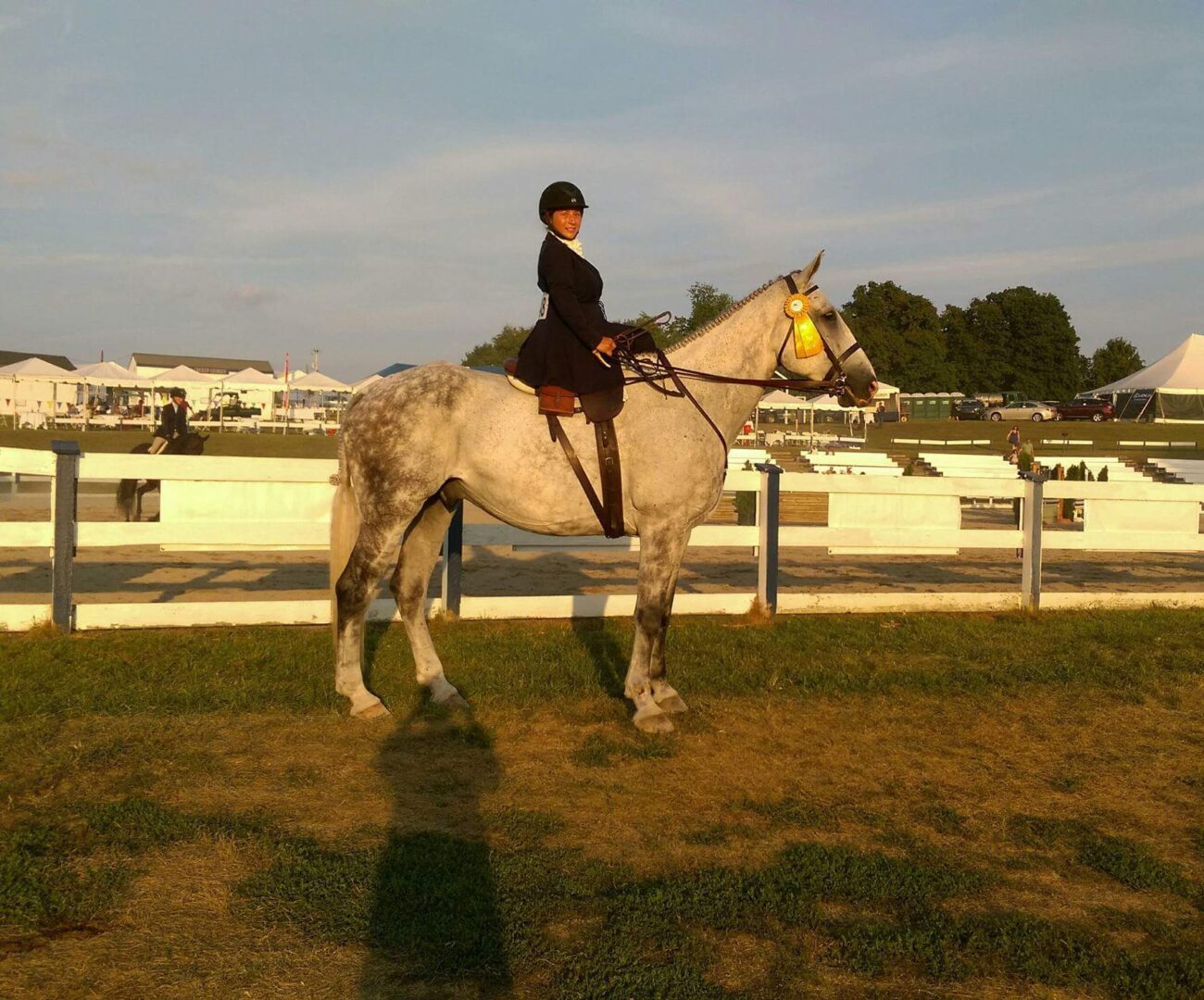 Lady sitting on a horse in white color