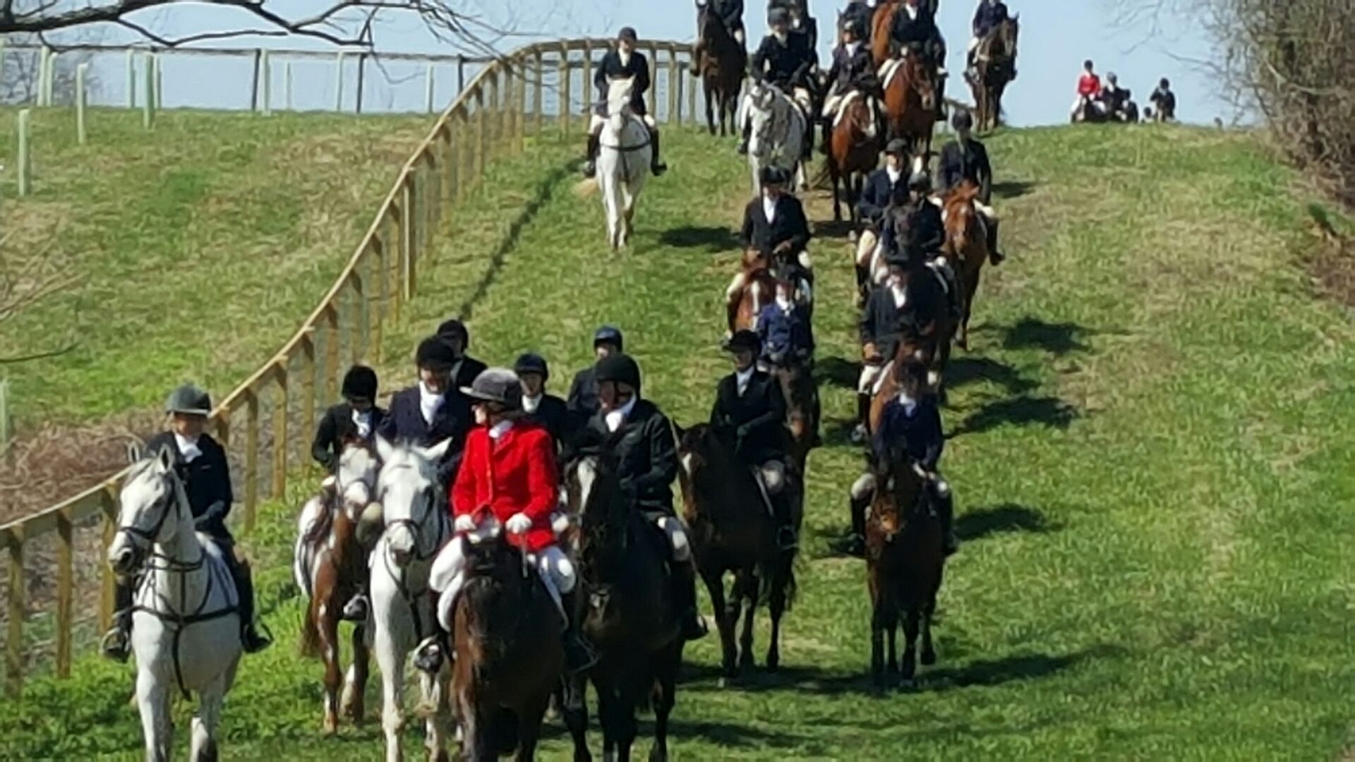 Huge group of riders running their horse in an open field