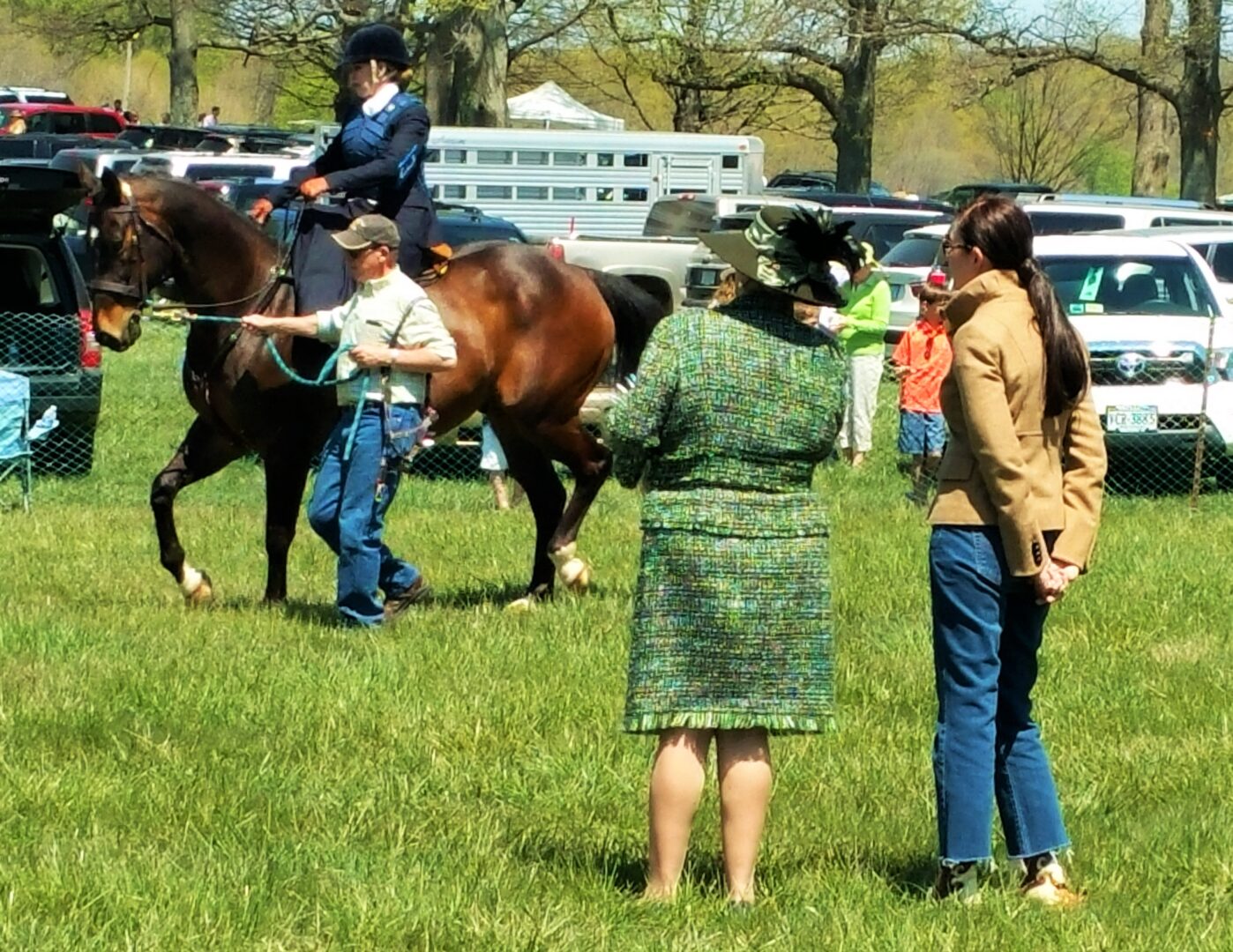 A group of people watching a horse in a field.