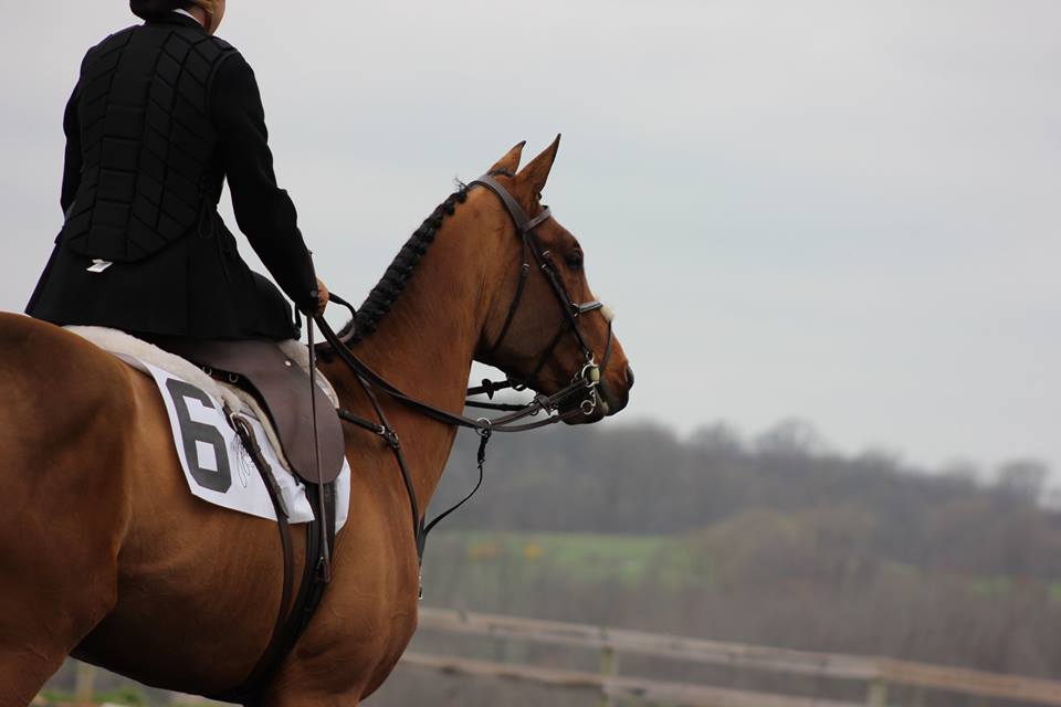 A girl holding a horse in an open field