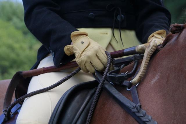 Hands of a jockey rider on a horse