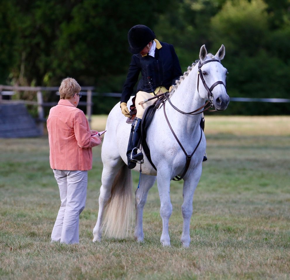 A woman is standing next to a white horse.