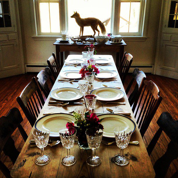 A dag standing on a table near dinning table