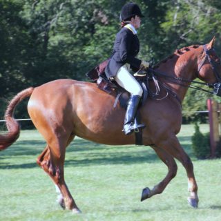 A lady riding a horse in an open field