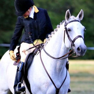 A small boy riding a white color horse