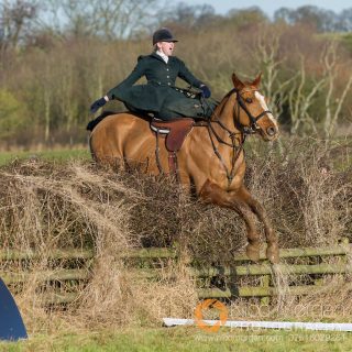 A person riding a horse in open field