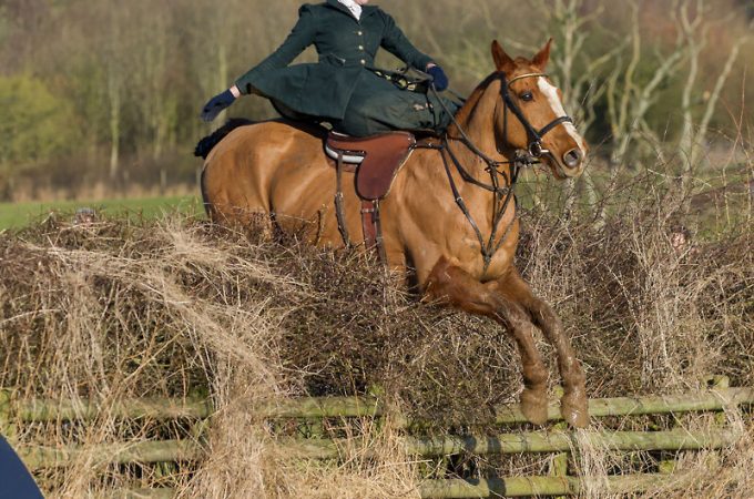 A person riding a horse in open field